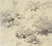 Thomas Gainsborough Study for a Foreground,a Bank with Weeds and Thistles oil painting picture wholesale
